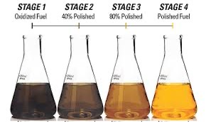 20241224_010111507_iOS