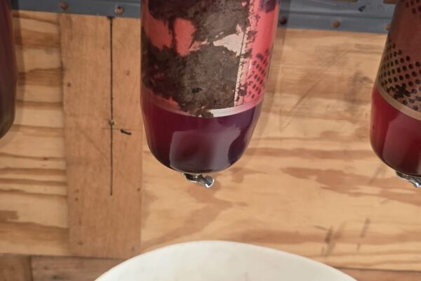 9cc41d77-71e6-4e5d-856e-519279f96bb5